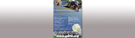 Flyer Treffen GWFD 2012