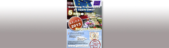 Flyer Treffen GWEF 2013